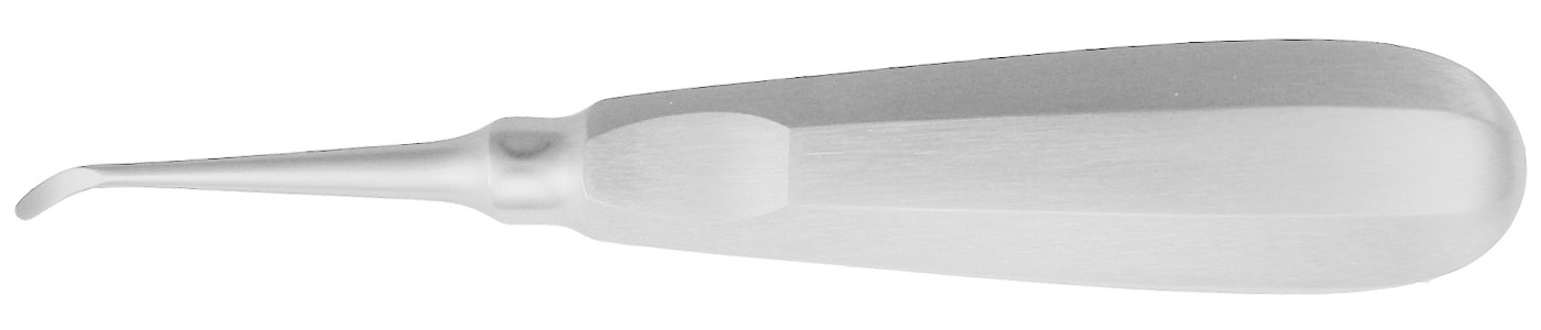 Wurzelheber