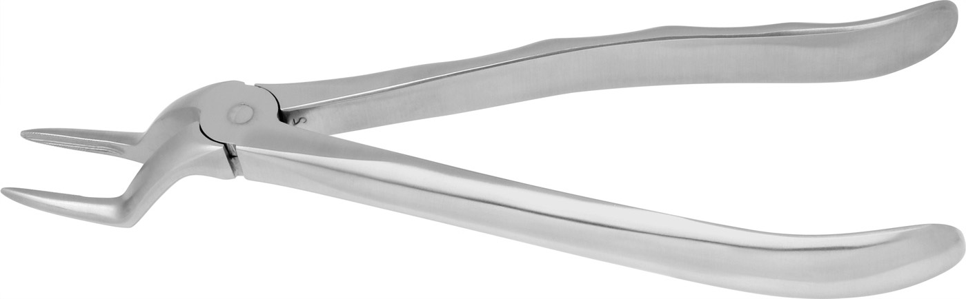 EXTRACT 650 - Zahnzange # 51A