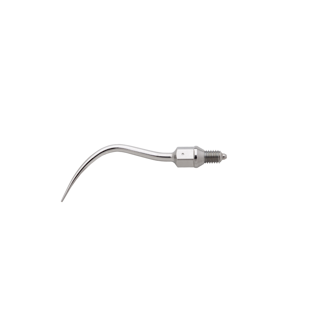 W&H Scaler-Spitze 1AP | Proxeo