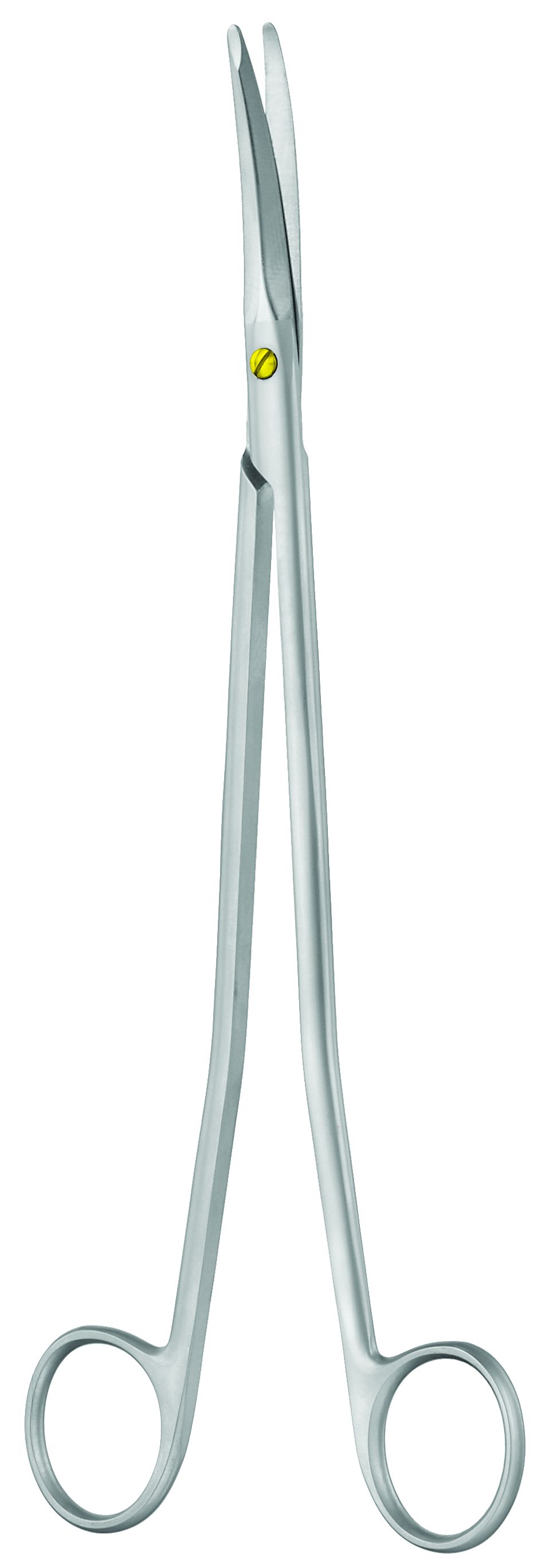 SC Gorney Freeman Schere geb 17cm