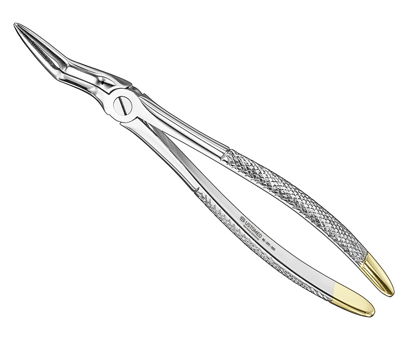 Zahnz., engl., Fig. 97, OK, Wurzeln, diam.