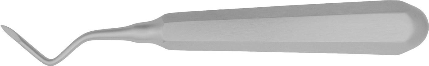 Wurzelheber