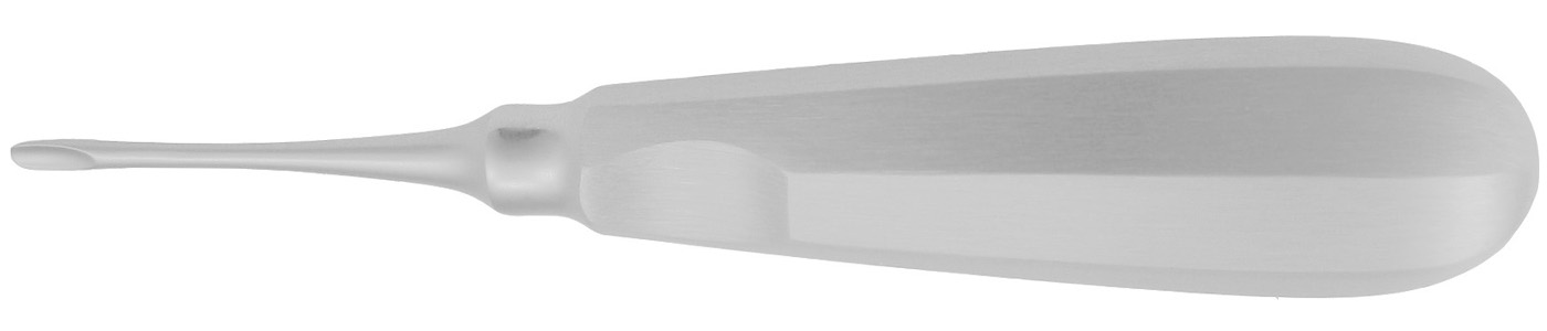 Wurzelheber