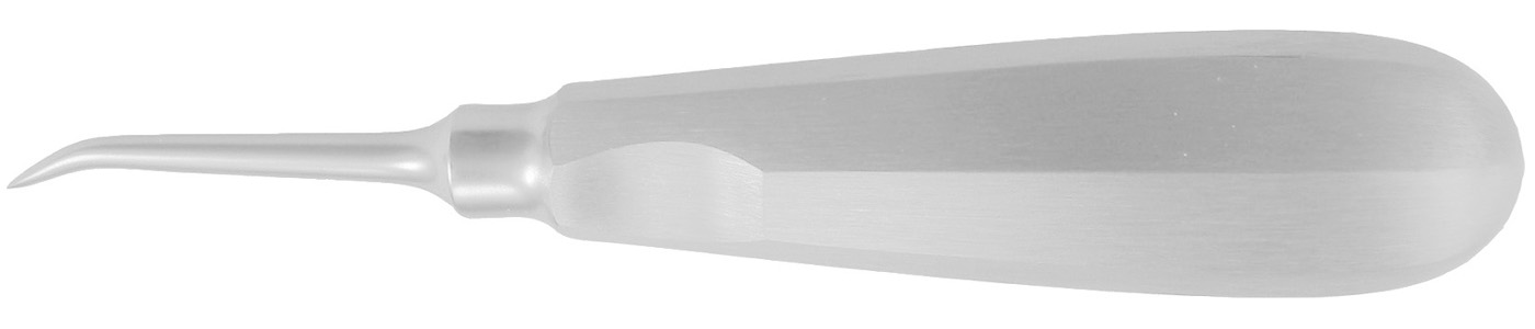Wurzelheber