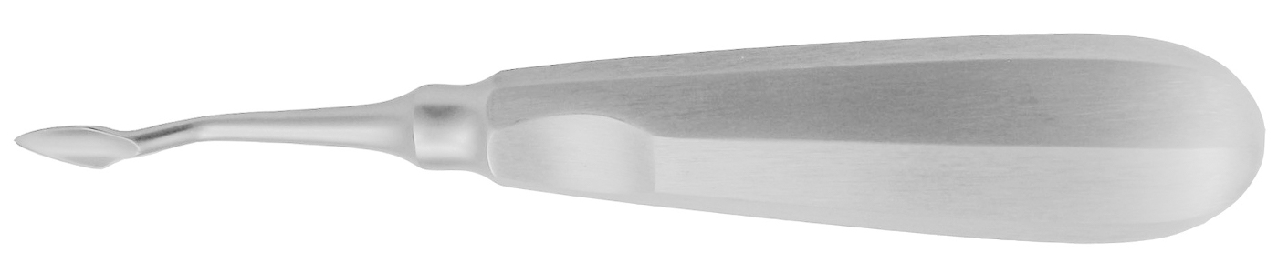 Wurzelheber