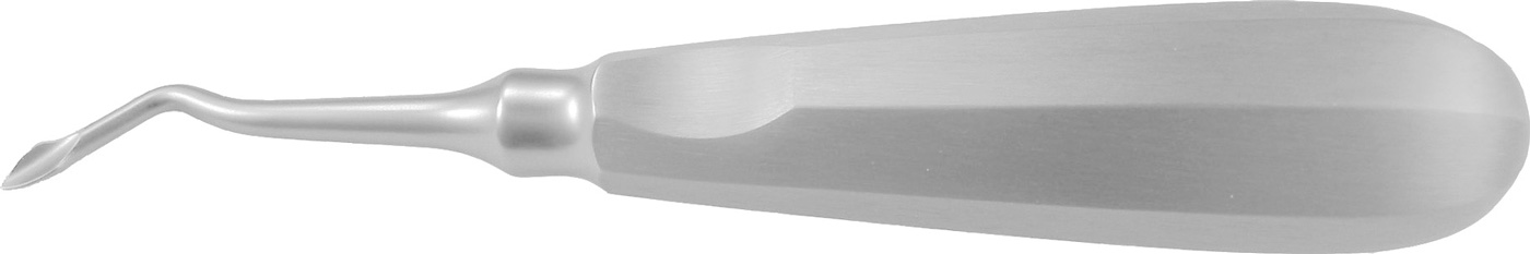 Wurzelheber "Bernard mod."