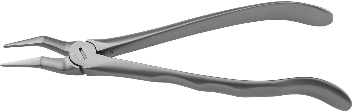 EXTRACT 1200 - Zahnzange # 51 N