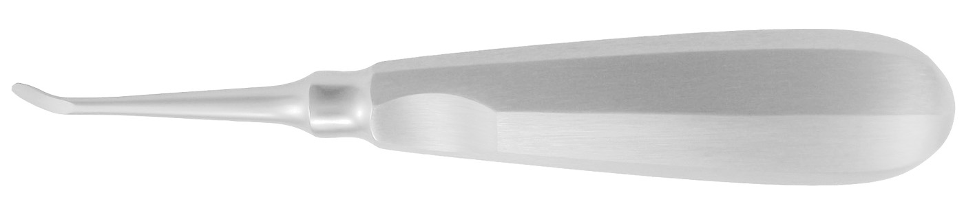 Wurzelheber