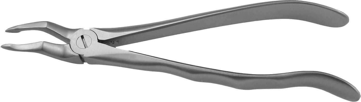 EXTRACT 1200 - Zahnzange # 51E