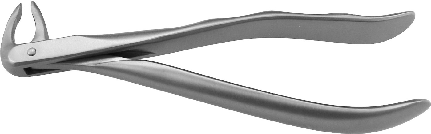 EXTRACT 1200 - Zahnzange # 74 E