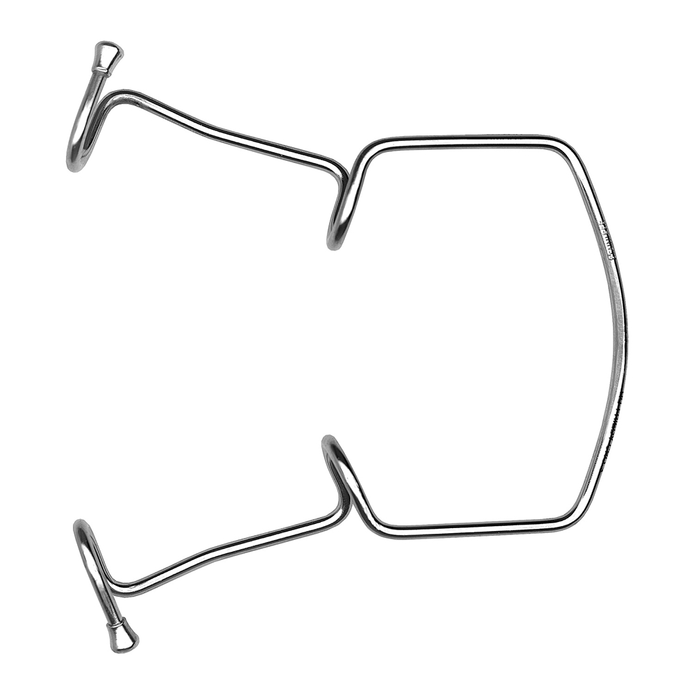 Wangenhalter Orringer #2