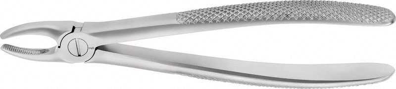 ANATOMICA ZAHNZANGE BUECHS #1