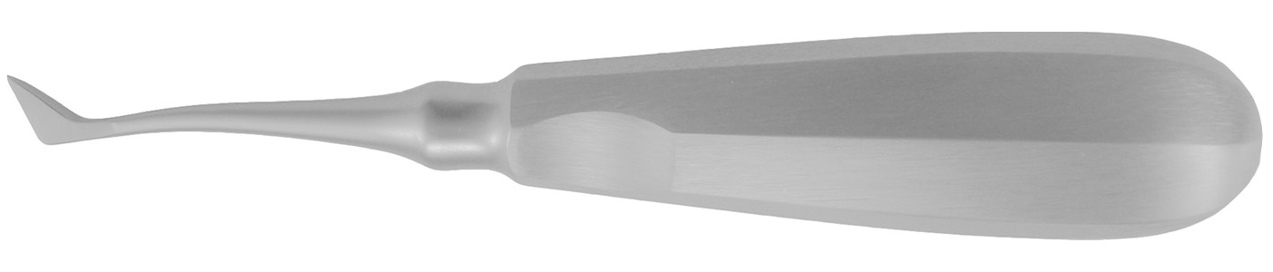 Wurzelheber