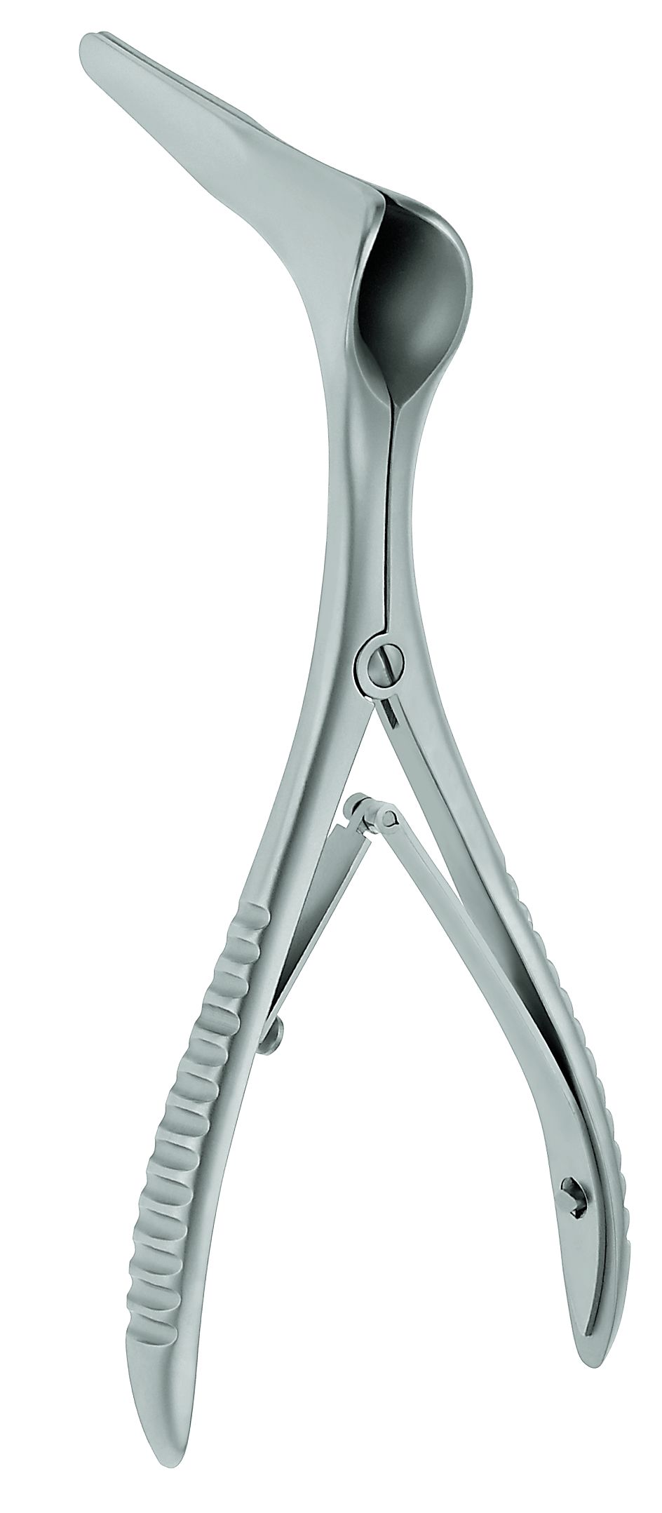 Cottle Nasenseptumspek 13.5cm