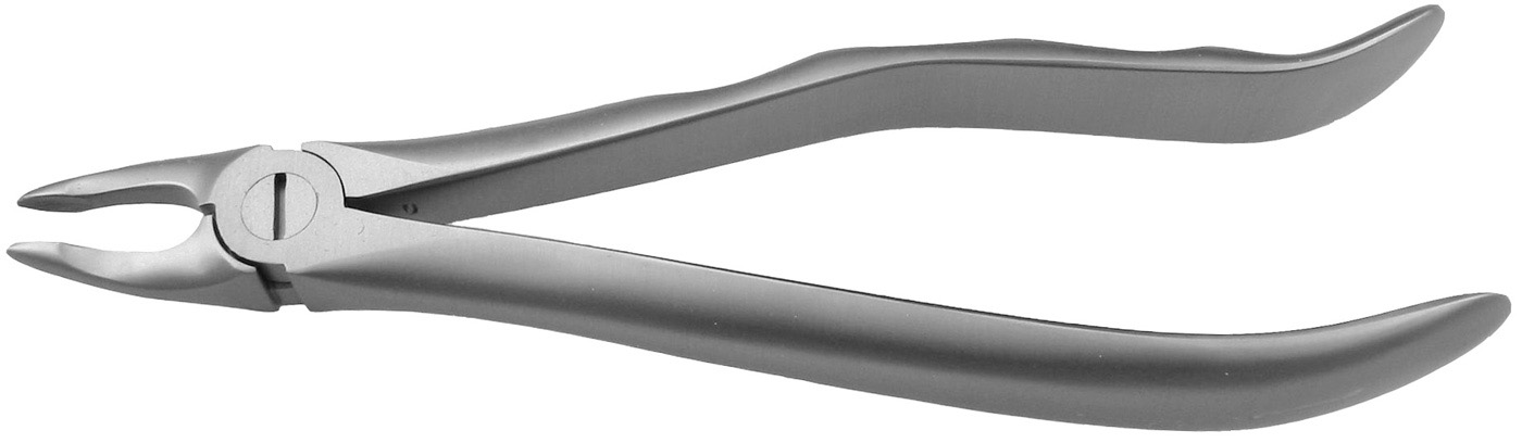 EXTRACT 1200 - Zahnzange # 29E