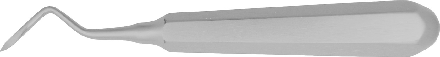 Wurzelheber
