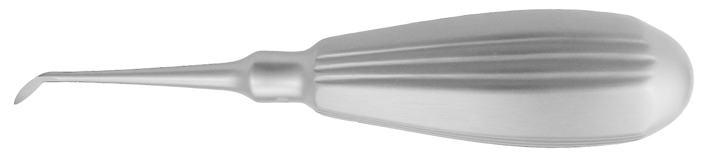 Wurzelheber