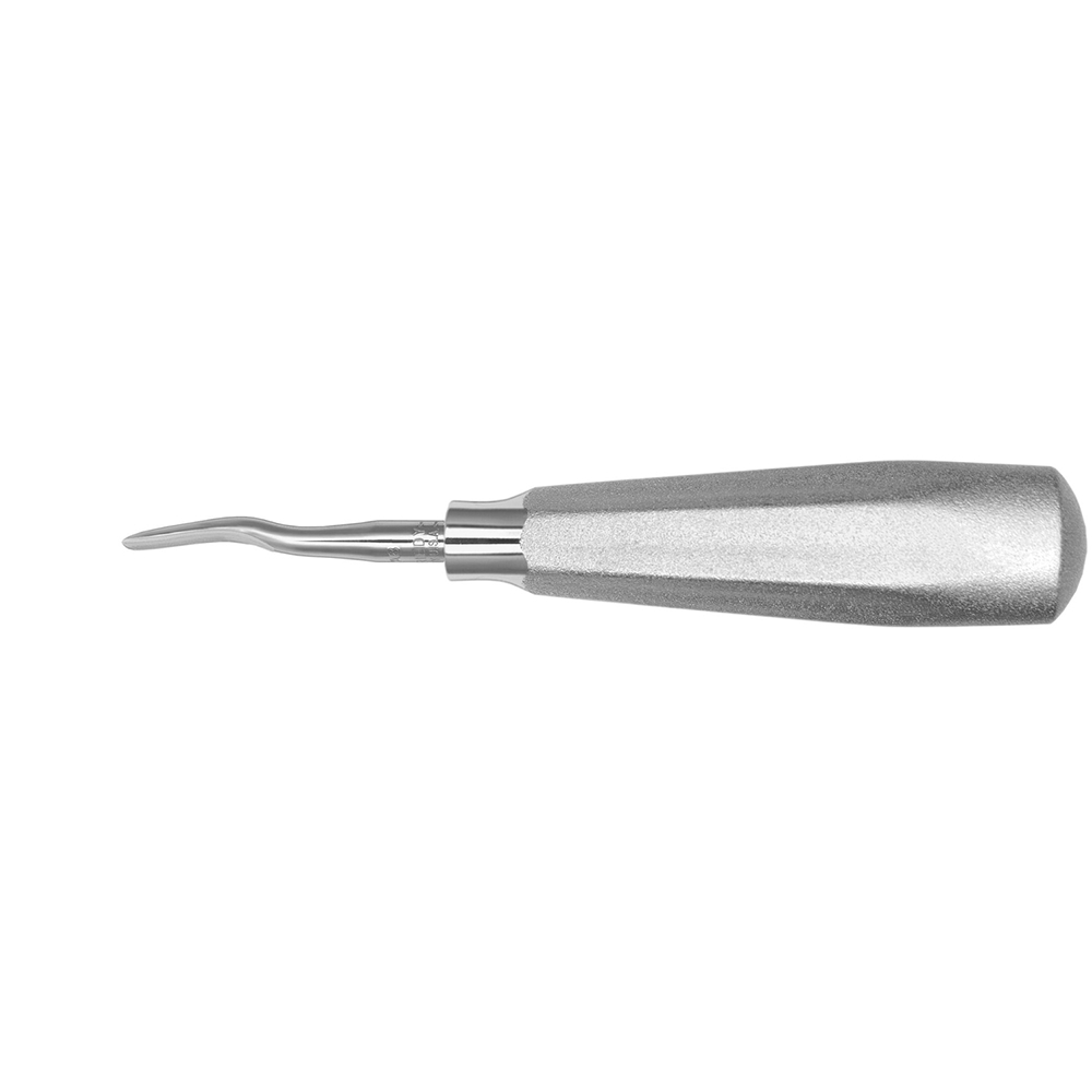 Wurzelheber #8, anterior