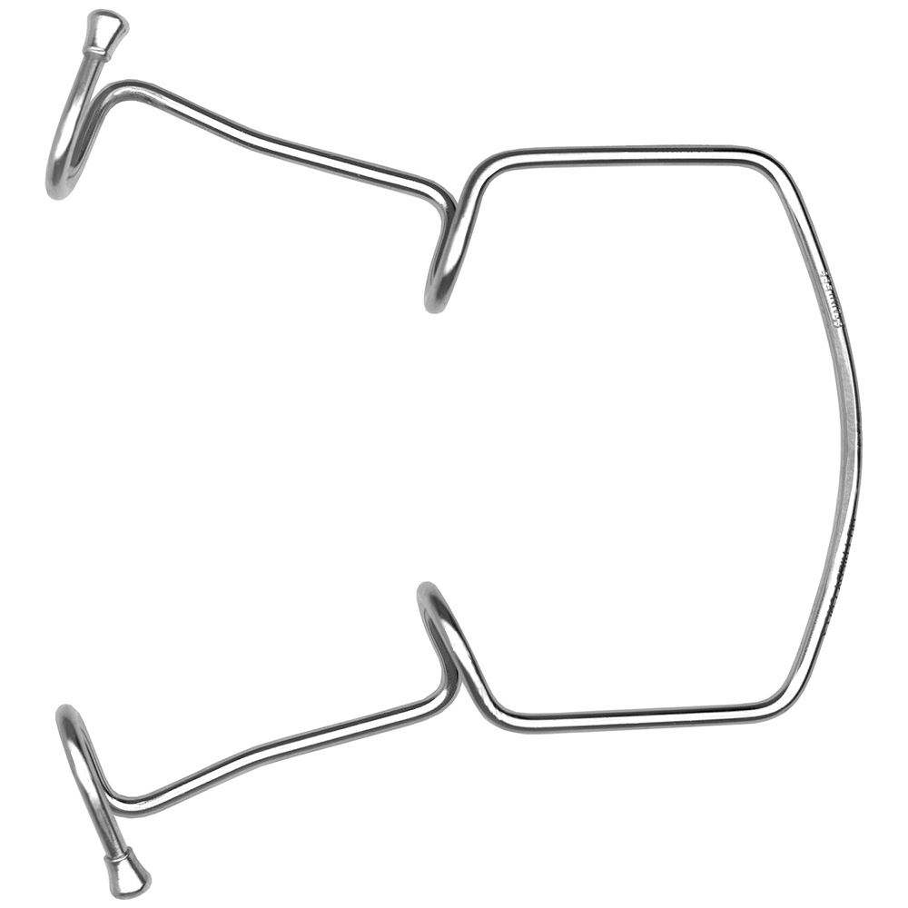 Wangenhalter Orringer #1