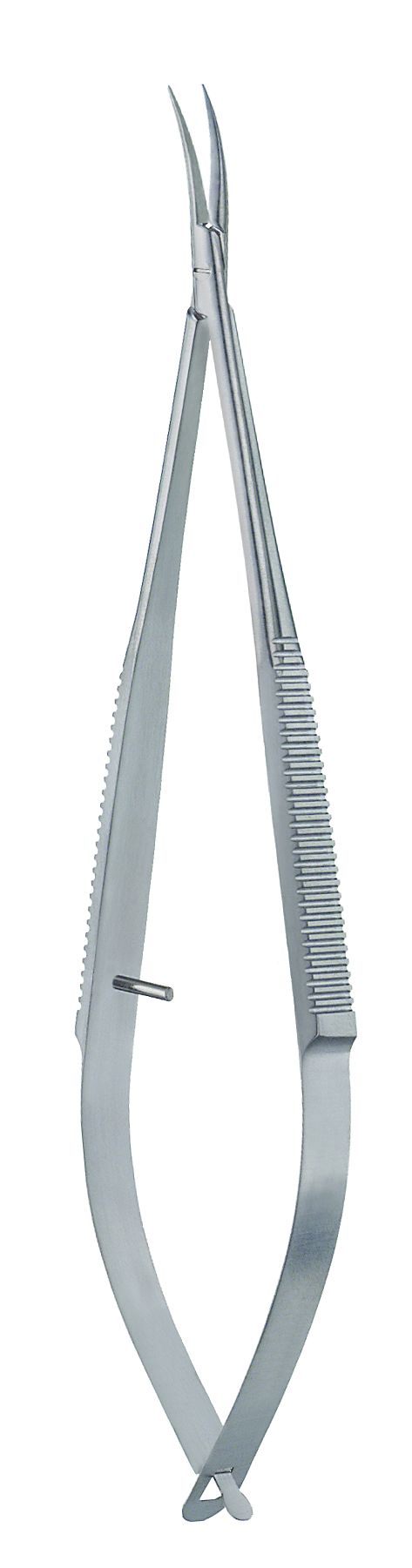 Castroviejo (Koshima) Nh geb 14.5cm o Sperre