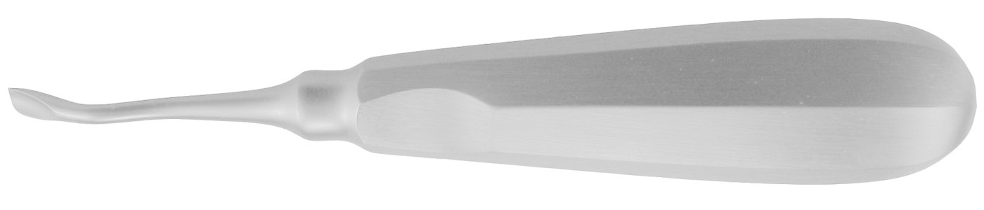 Wurzelheber