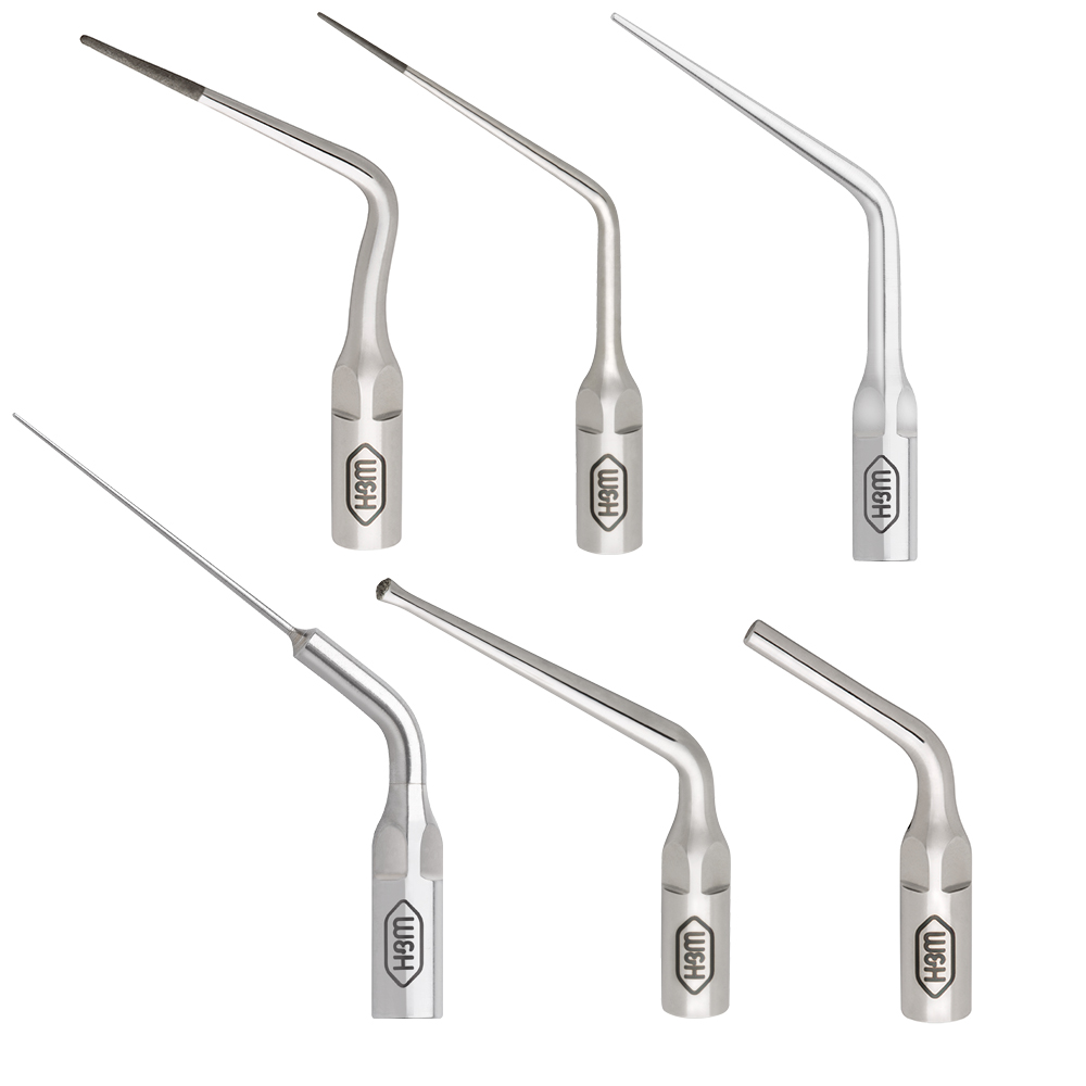 Gesamt-Spitzenset Tigon/+