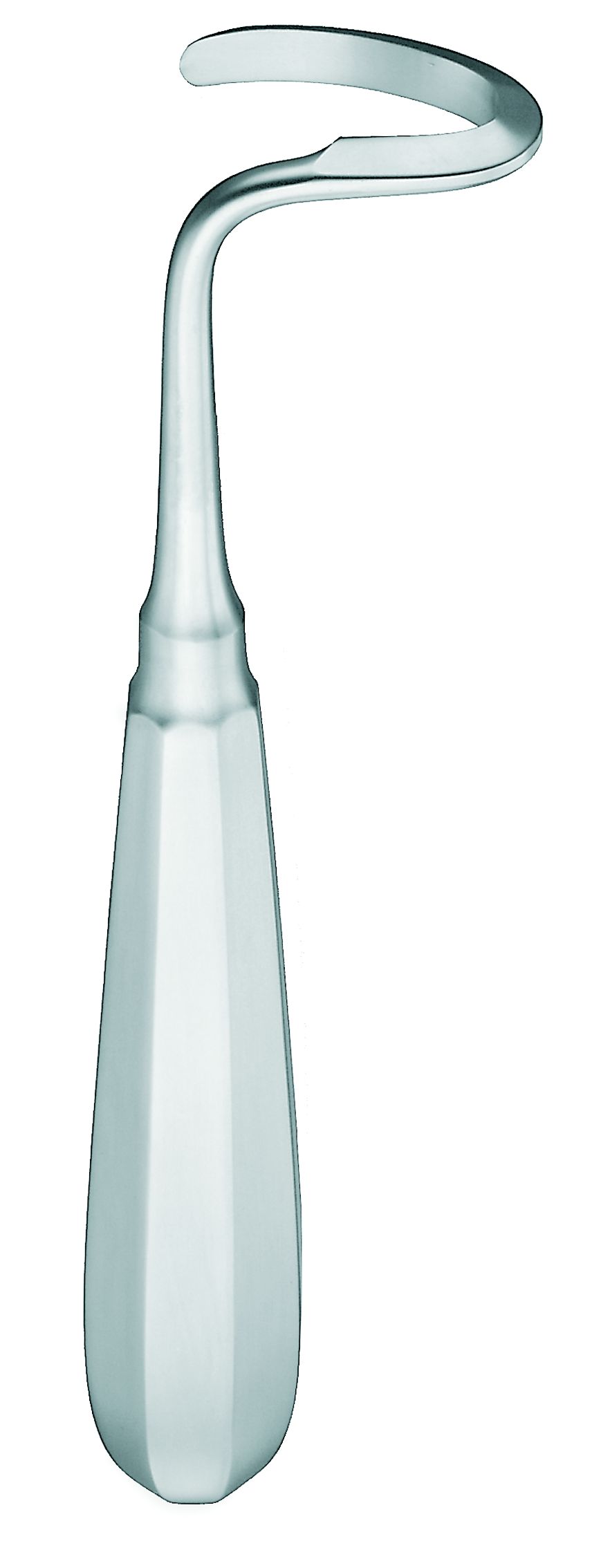 Doyen Raspat 17.0cm li