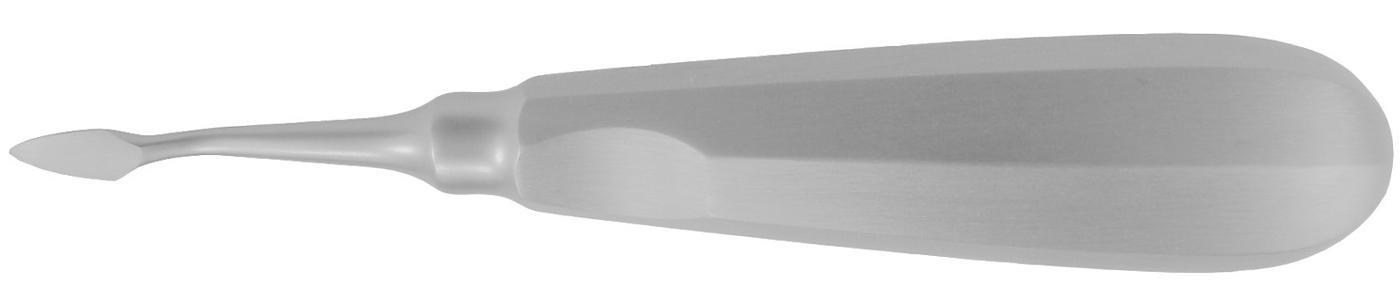 Wurzelheber