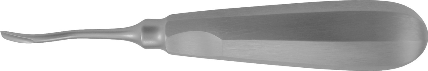 Wurzelheber