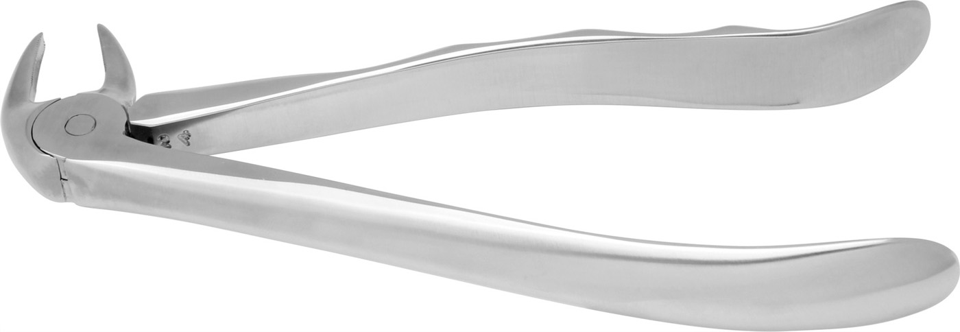 EXTRACT 650 - Zahnzange # 33A