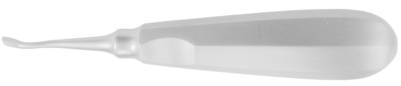 Wurzelheber